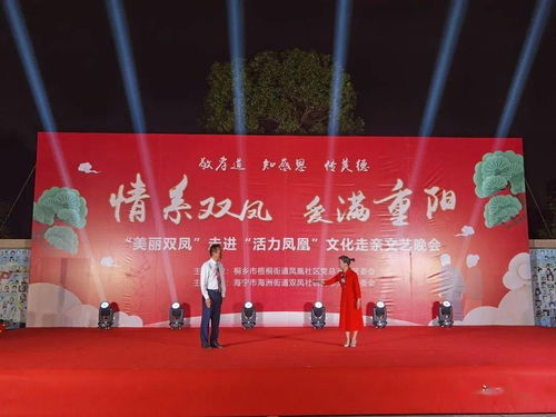 敬孝道·传美德 情系双凤，爱满重阳——活力凤凰文化走亲文艺晚会策划